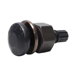 Tension Control Bolt