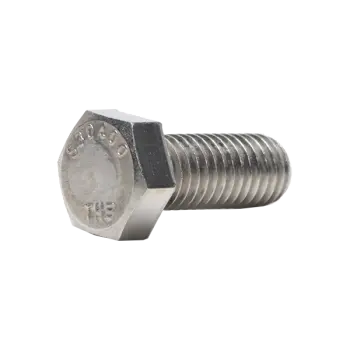 14 SS Hex Cap Screw