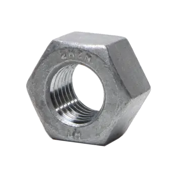 10 Galv 2H Nut