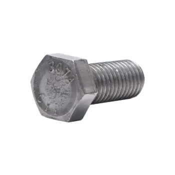 21 Plain Hex Cap Screw