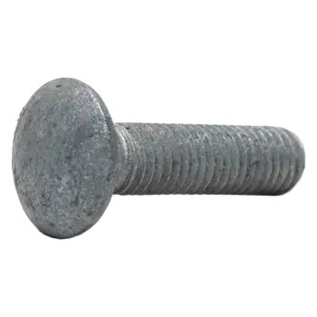 11 Galv Carriage Bolt